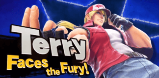 terry bogard smash