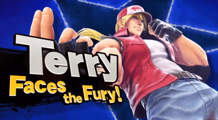 terry bogard smash