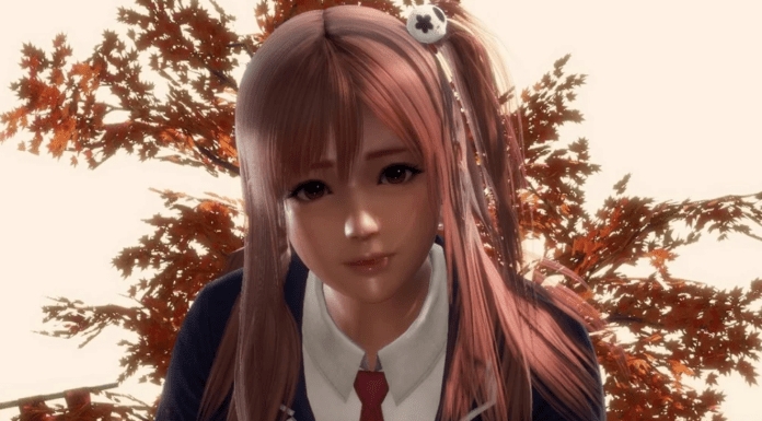 dead or alive 6 couleur de cheveu