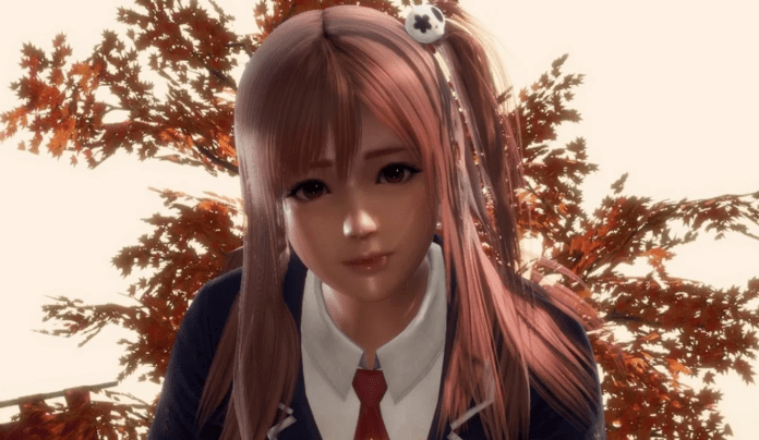 dead or alive 6 couleur de cheveu