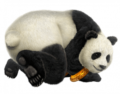 Le personnage de Tekken 3 Panda