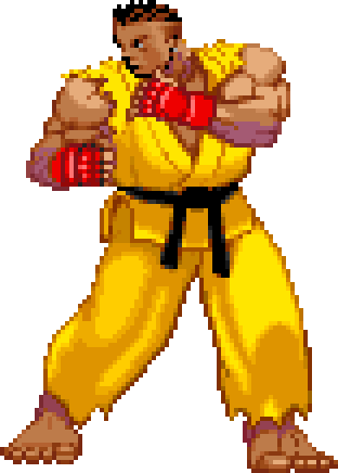 Le personnage de Street Fighter III Sean