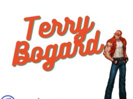 Le personnage de KOF Terry Bogard avec son nom en toutes lettres
